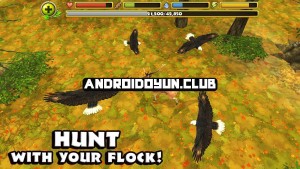 kartal-simülatör-1-0-full-apk 3_androidoyunclub 