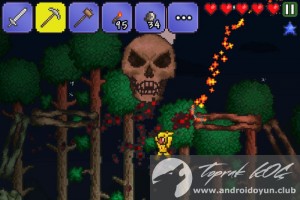 terraria-v1-2-11965-mod-apk-mega-hile-2
