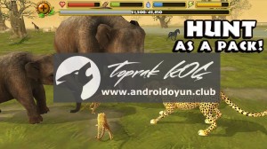 Çita-simülatör 1-1-tam APK-1 