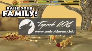 Çita-simülatör 1-1-tam APK-2 