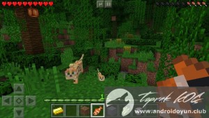 minecraft -pocket-edition-v0-12-3-tam-apk-2 