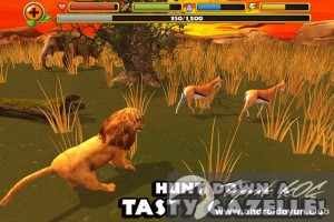 Safari simülatörü-aslan-v1-0-full-apk-3 