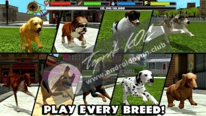 Başıboş Köpek Simülatörü V1-4-full-apk-1 