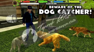Başıboş Köpek Simülatörü V1-4-full-apk-3 