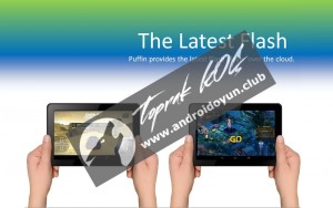 martı-İnternet tarayıcısı v4-1-1-1119-full-apk-3 