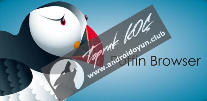 puffin-web-browser-v4-1-1-1119-full-apk