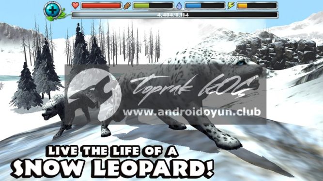 snow-leopard-simulator-v1-2-full-apk