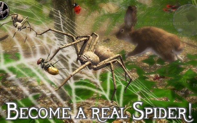 Ultimate Spider Simulator 2 v1.0 MOD APK – HİLELİ
