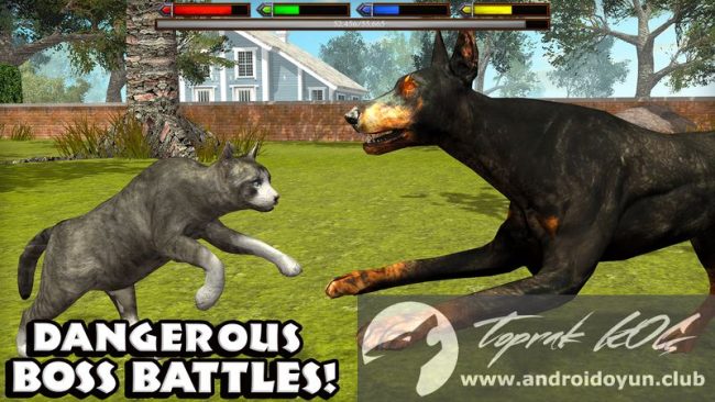 Ultimate Cat Simulator v1.0 MOD APK – HİLELİ